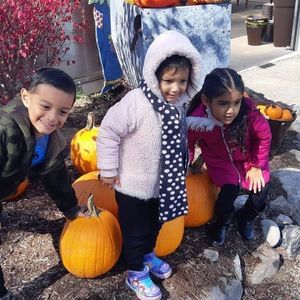 Meet your Posher, Carolina